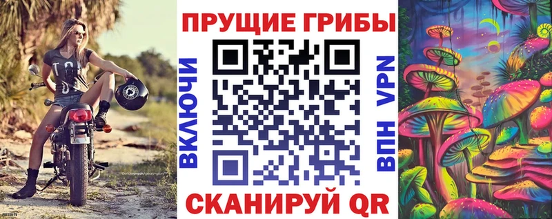 Псилоцибиновые грибы мицелий  Янаул 